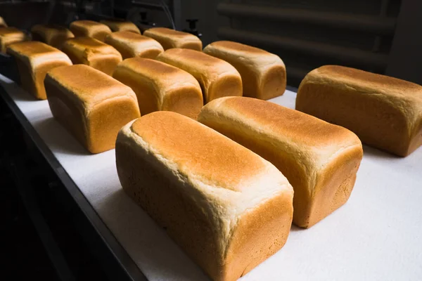 Loafs Ψωμί Ένα Αρτοποιείο Ένα Αυτόματο Ιμάντα Μεταφοράς Βιομηχανία Τροφίμων — Φωτογραφία Αρχείου