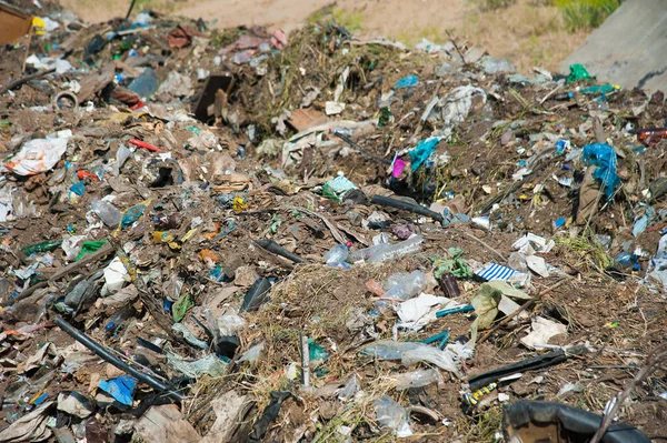 Aterro Lixo Doméstico Entre Árvores Verdes Que Polui Meio Ambiente — Fotografia de Stock