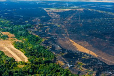 Yangından sonra kavrulmuş ağaçlar ve çimenler. Hava görüntüsü. Peyzaj