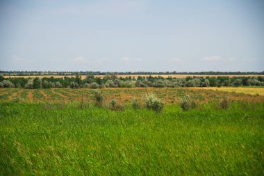 Tren vagonundan manzaraya bir yaz gezisi sırasında tren penceresinin önünden geçerken.