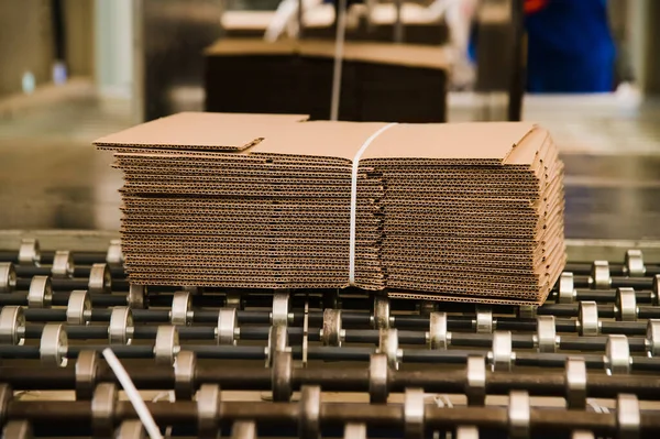 Production Line Production Cardboard Corrugated Cardboard Factory — Stock Photo, Image