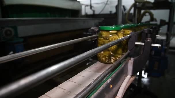 Preservação Vegetais Uma Linha Industrial Para Processamento Preservação Pepinos Pepinos — Vídeo de Stock