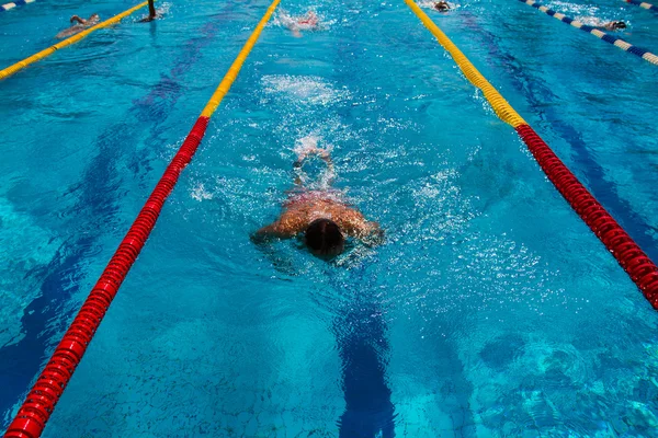 Swimming - Stock Image — Stock Photo, Image