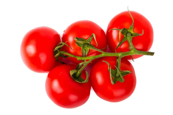 Tomatoes — Stock Photo, Image