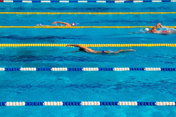 Swimming competition — Stock Photo, Image