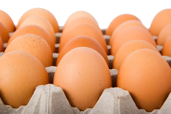 Brown eggs in a carton — Stock Photo, Image