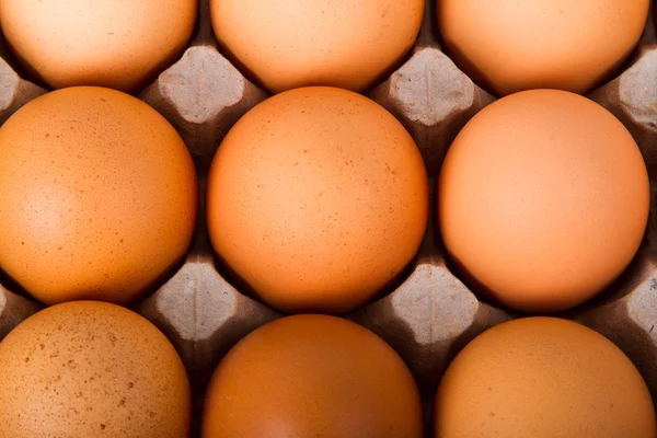 Brown eggs in a carton — Stock Photo, Image