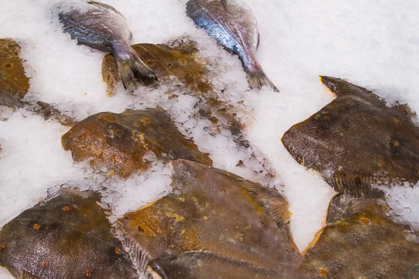 Frischer Fisch auf Eis auf dem Fischmarkt — Stockfoto