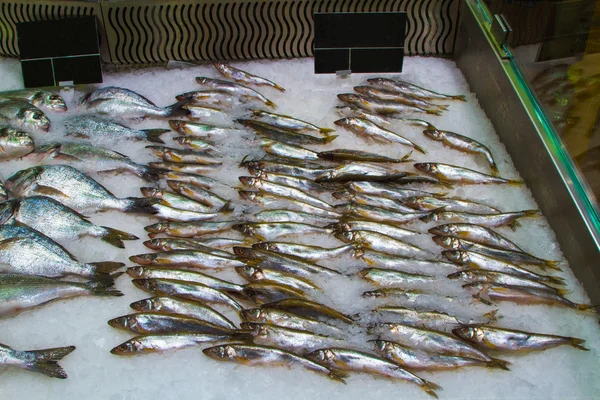 Čerstvé ryby na ledě v rybím trhu — Stock fotografie