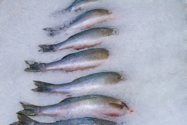 Frischer Fisch auf Eis auf dem Fischmarkt — Stockfoto