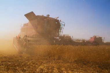 Hasat sırasında biçerdöver