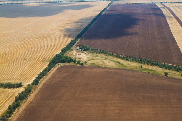 Вид с воздуха на сельхозугодия — стоковое фото
