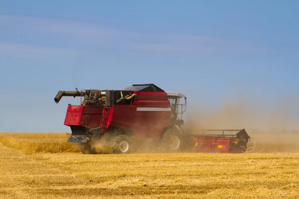 Combine harvester during harvesting — Stock Photo, Image