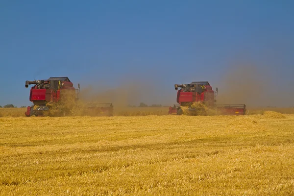 Maaimachine combineren tijdens oogsten — Stockfoto