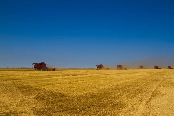 Mähdrescher bei der Ernte — Stockfoto