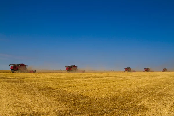 Maaimachine combineren tijdens oogsten — Stockfoto