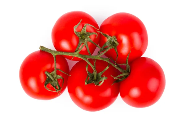 Tomatoes — Stock Photo, Image