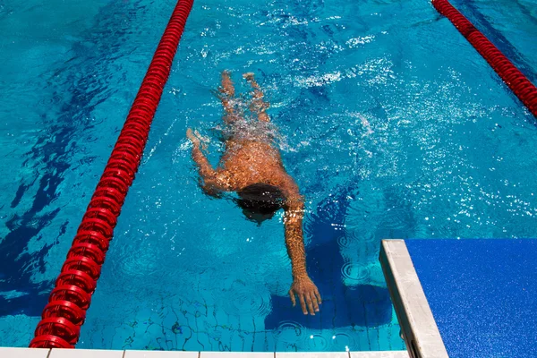 Professional swimmer in the pool — Stock Photo, Image