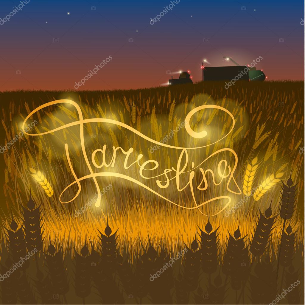 Harvesting, machinery harvester, tractor, Inscription against the background of wheat