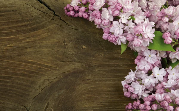 Lila sobre fondo de madera —  Fotos de Stock