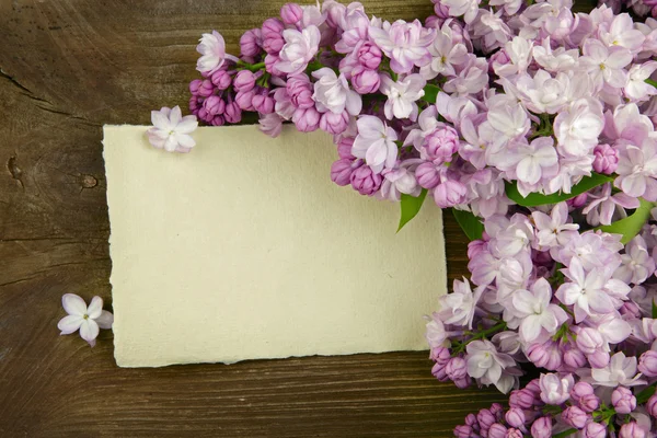 Lila op houten achtergrond Rechtenvrije Stockfoto's