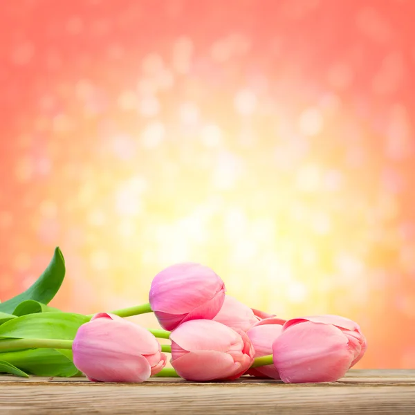 Hermosos tulipanes rosados sobre fondo desenfocado magia — Foto de Stock