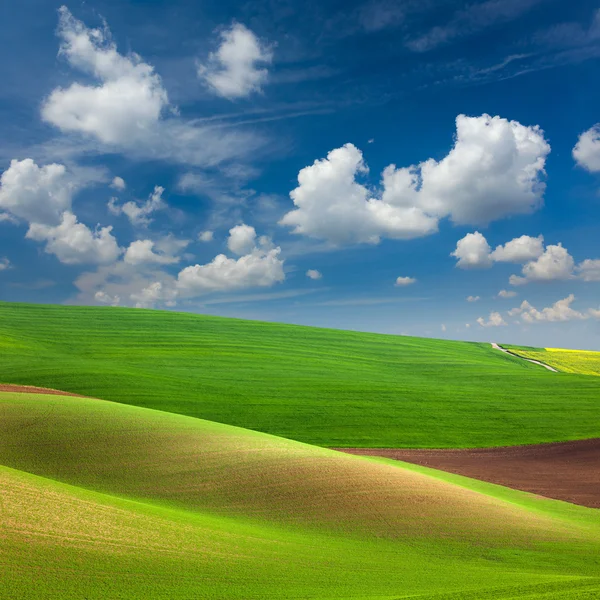 Campos coloridos abstractos y fondo del cielo —  Fotos de Stock