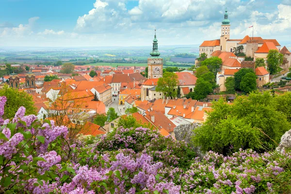 Oude Europese stad met kasteel, klok en bloemen — Stockfoto