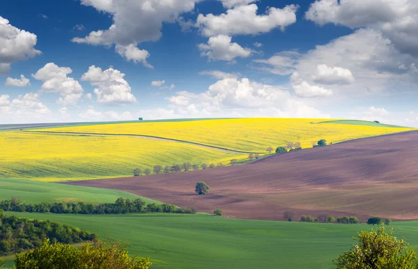 Nádhernou krajinu polí v barevné hills, velké velikosti — Stock fotografie