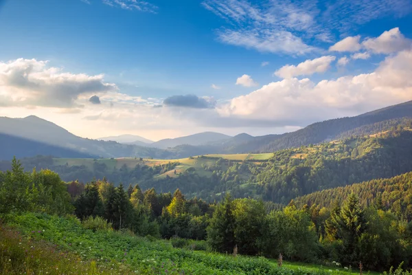 Summer day in The Mountain Valley — Stock Photo, Image