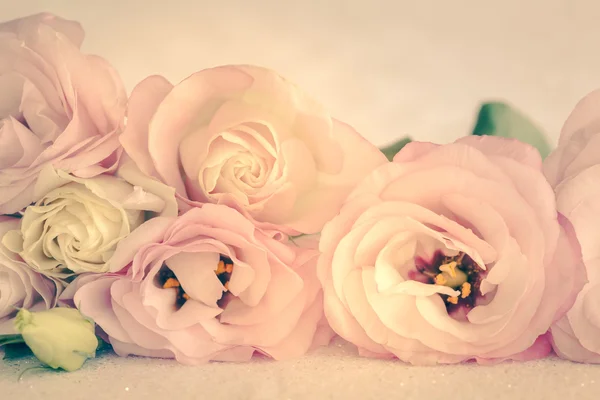 Szelíd színek Vintage virágok háttér — Stock Fotó
