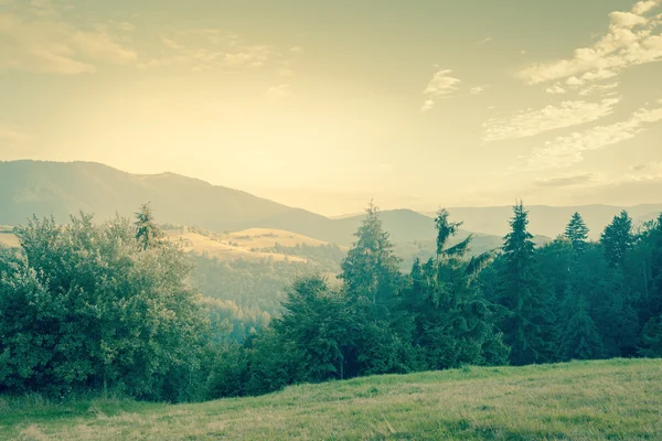 El día soleado es en el paisaje de montaña - estilo vintage — Foto de Stock