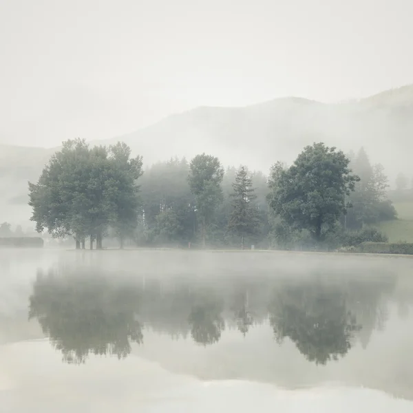 Nebbia su un lago all'alba con alberi e montagne riflesse nel — Foto Stock