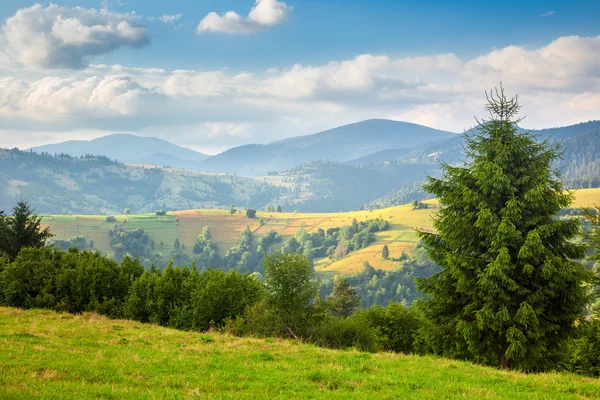 El día soleado de verano es en el paisaje de montaña — Foto de Stock