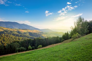 Güneşli bir günde dağ Vadisi
