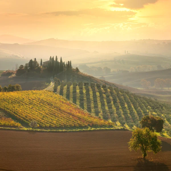 Beautiful rural landscape - Tuscany, Italy — Stock Photo, Image