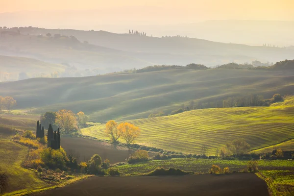 Natural Sunny Autumn landscape - Wavy fields at sunrise — Stock Photo, Image