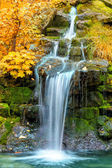 Krajina vodopád v žluté podzimní les