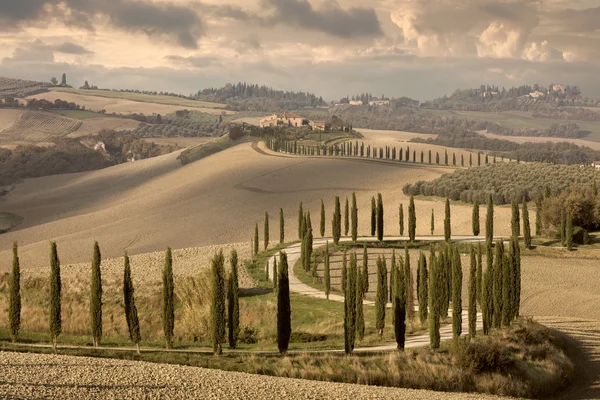 Landscape tipical Tuscany nature, vintage — Stock Photo, Image