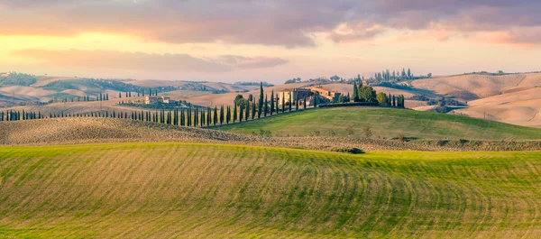 Panoramic view of  Tuscany countryside landscape — Stock Photo, Image