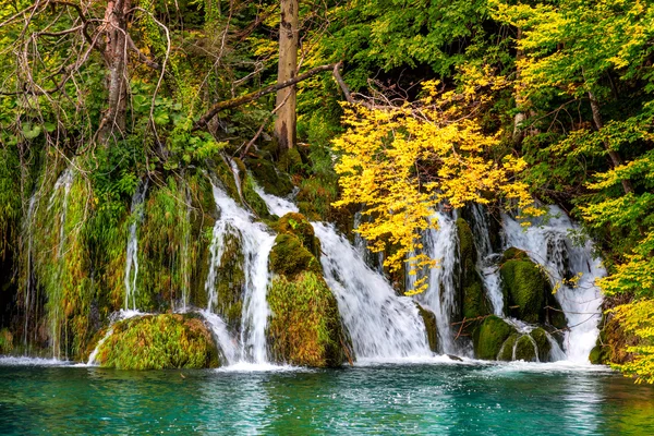 Nature landscape - Group of waterfalls in colorful forest — Stock Photo, Image