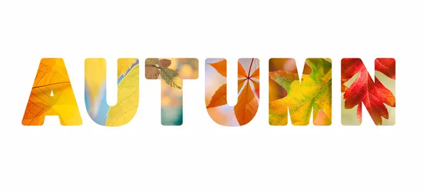 Word Autumn with colorful nature photos inside — Stock Photo, Image