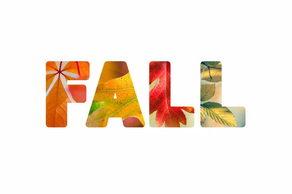 Word Fall with different colorful nature leaves photos — Stock Photo, Image