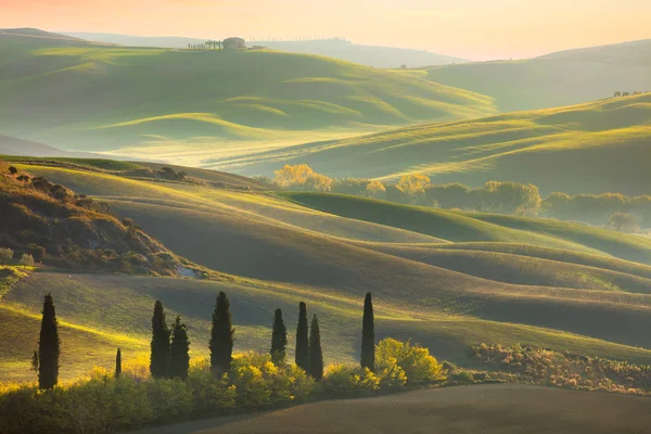 Свіжий зелений Тоскана краєвид — стокове фото