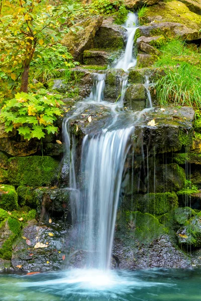 Krajina vodopád v létě lese — Stock fotografie