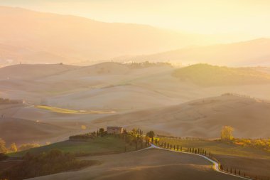 Güneşli kırsal Tuscany manzara