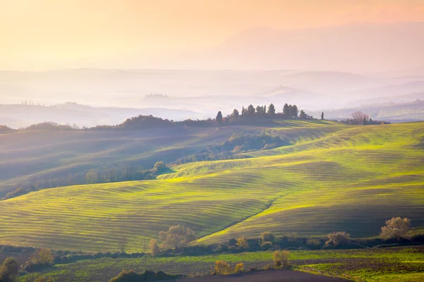 Paisaje toscano a suave luz del amanecer , — Foto de Stock