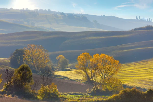 Soleado paisaje agrícola de otoño, Toscana —  Fotos de Stock
