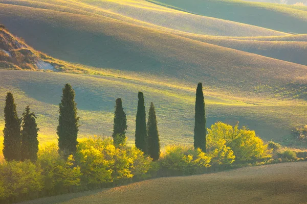 Autumn Tuscany landscape - hills, trees and fields — Stock Photo, Image