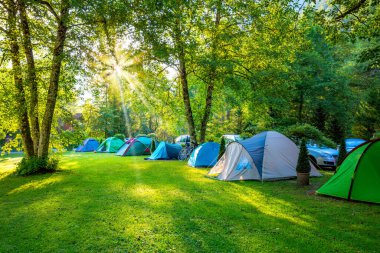 Güneşli bir sabahın erken saatlerinde kamp alanı. Büyük ağaçları ve yeşil otları olan güzel doğal bir yer.